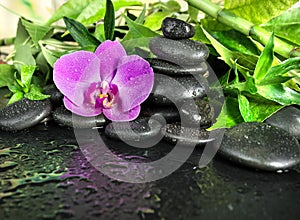 Spa concept with zen stones, orchid flower and bamboo