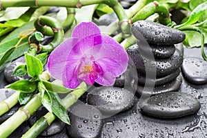 Spa concept with zen stones, orchid flower and bamboo