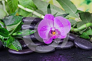 Spa concept with zen stones, orchid flower and bamboo