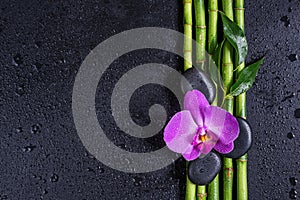 Spa concept with zen stones, orchid flower and bamboo