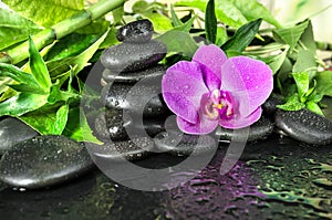 Spa concept with zen stones, orchid flower and bamboo