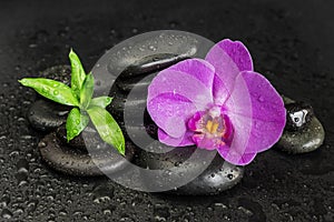 Spa concept with zen stones, orchid flower and bamboo