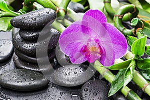 Spa concept with zen stones, orchid flower and bamboo