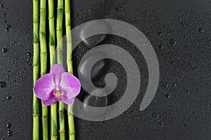 Spa concept with zen stones, orchid flower and bamboo