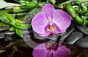 Spa concept with zen stones, orchid flower and bamboo