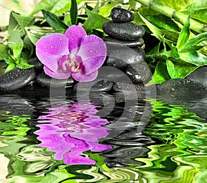 Spa concept with zen stones, orchid flower and bamboo reflected