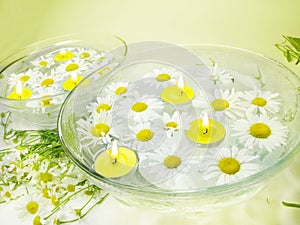 Spa with daisy flowers and yellow scented candles