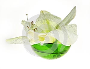 Spa decoration - amaryllis in glass green bowl