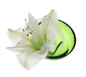 Spa decoration - amaryllis in green bowl