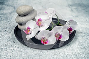 Spa decoration with gorgeous orchid flowers