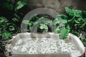 Spa decoration, natural organic products on a bathtube.