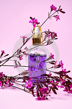 Spa dropper bottle with essence dry flowers and small pink flowers on pink background, closeup