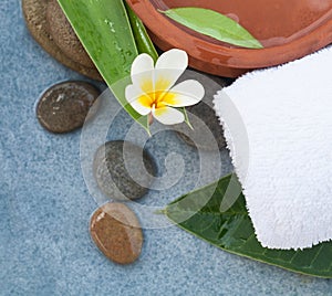 Spa flower and stones for healhty relax massage treatment