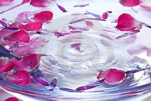 Spa Flowers Petals Water Drop Background