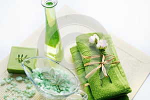 Spa kit: liquid soap, sea salt, green towel, fresh flowers, olive leaves on an old yellow napkin on a white background