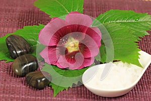 Spa with mallow flower