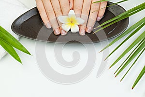 Spa manicure. Beautiful female hands in bowl of water