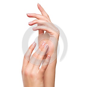 Spa and manicure concept. Female hands with french manicure