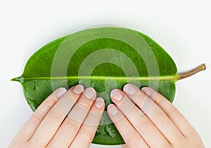 Spa manicure. female hands with beautiful nails