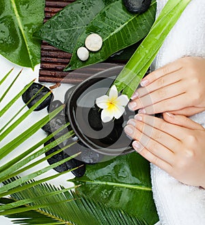 Spa manicure. female Young hands with bowl of water, flowers