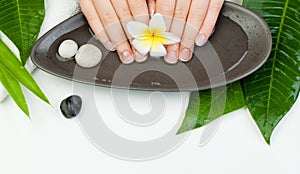 Spa manicure top view with flowers, green leaves