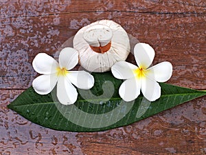 Spa massage compress balls, herbal ball with flower, Thailand