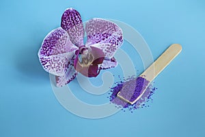 Spa mockup: purple cosmetic spa with sea fiolet salt and purple orchid on blue background.