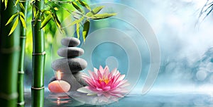 Spa - Natural Alternative Therapy With Massage Stones And Waterlily photo