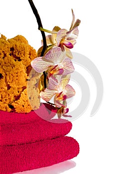 Spa: orchid, towels and sponge