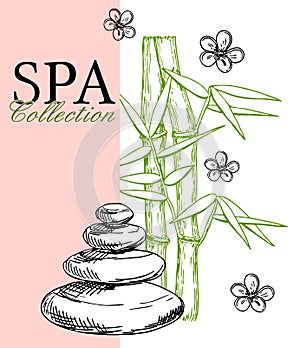 Spa poster, banner template. Vector sketch spa center and ink hand drawn spa salon items. Design for natural cosmetics