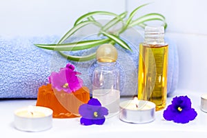 Spa procedure. Cosmetic care of the body. Aromatic oil. Aromatherapy. Cosmetology.