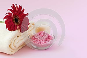 Spa product with Gerbera flowers on pink background