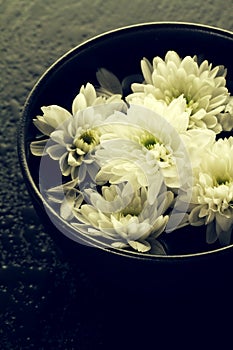 Spa Relax Concept. Beautiful White Spa Flowers in Bowl in Water.