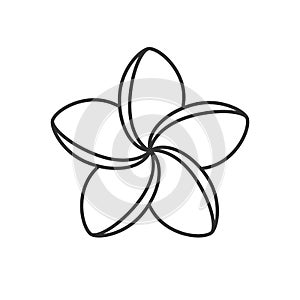 Spa salon plumeria flower linear icon