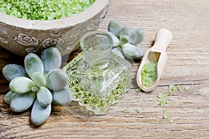 Spa set: green sea salt, liquid soap and succulent plants