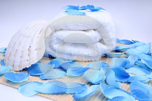 Spa set, towel and conch