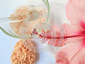 Spa setting and Spa background composition with hibiscus pink flower on white background. Copy space