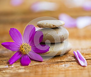 Spa setting with massage stones and flower, wellness and spa balance concept