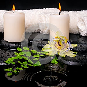 Spa setting of passiflora flower, green branch fern and candles