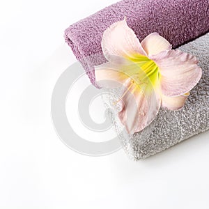 Spa setting of towel, pink flower isolated on white. Copy space. Square image.