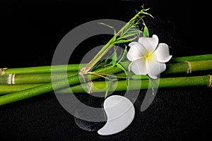 spa setting of white frangipani flower, symbol Yin Yang and natural bamboo with leaves on zen basalt stones with drops, closeup