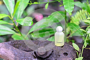 Spa shampoo on wooden stump in natural background