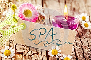 Spa sign on tree bark with flowers and candle