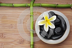 Spa still life background