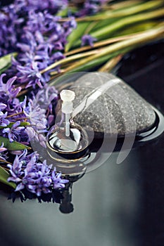 Spa still life with essential oil in glass bottle, spring flowers and stones on dark background. Closeup.