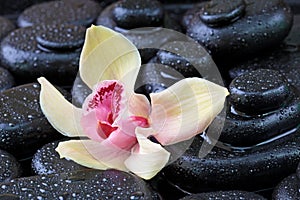 Spa still life with hot stones