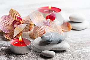 Spa still life with pebbles and red orange orchid