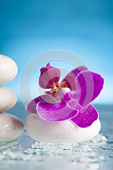 Spa still life with pink orchid and white zen stone