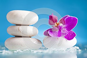 Spa still life with pink orchid and white zen stone