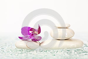 Spa still life with pink orchid and white zen stone